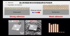 浙大学者研发超薄功能器件大面积、可编程转印技术